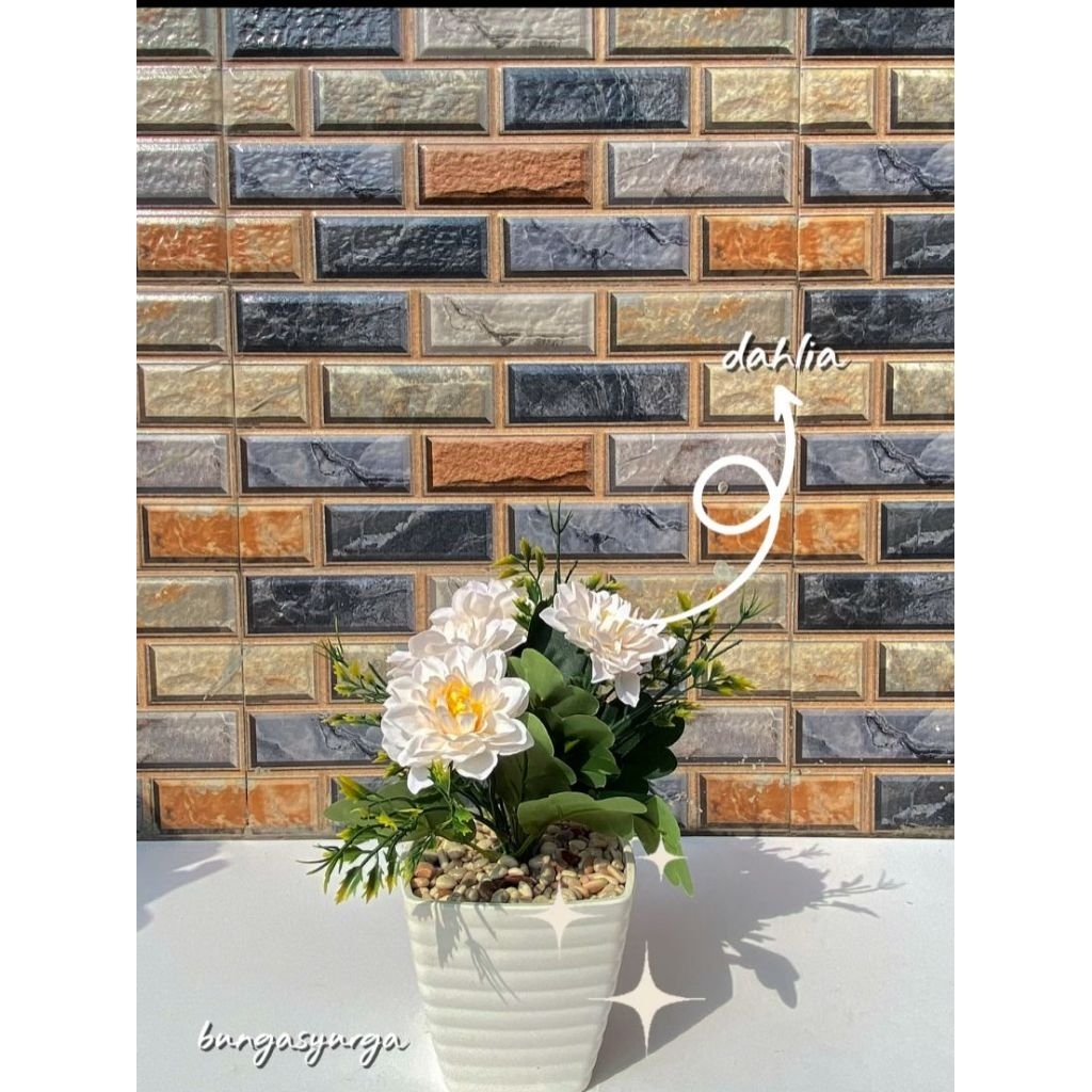 bunga hias dahlia grade A super pot mika