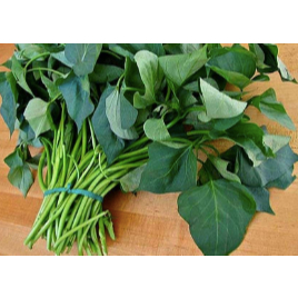 

Daun Ubi Segar Medan Daily Market