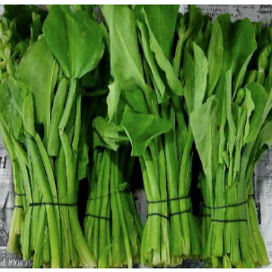 

Daun Genjer Segar Medan Daily Market