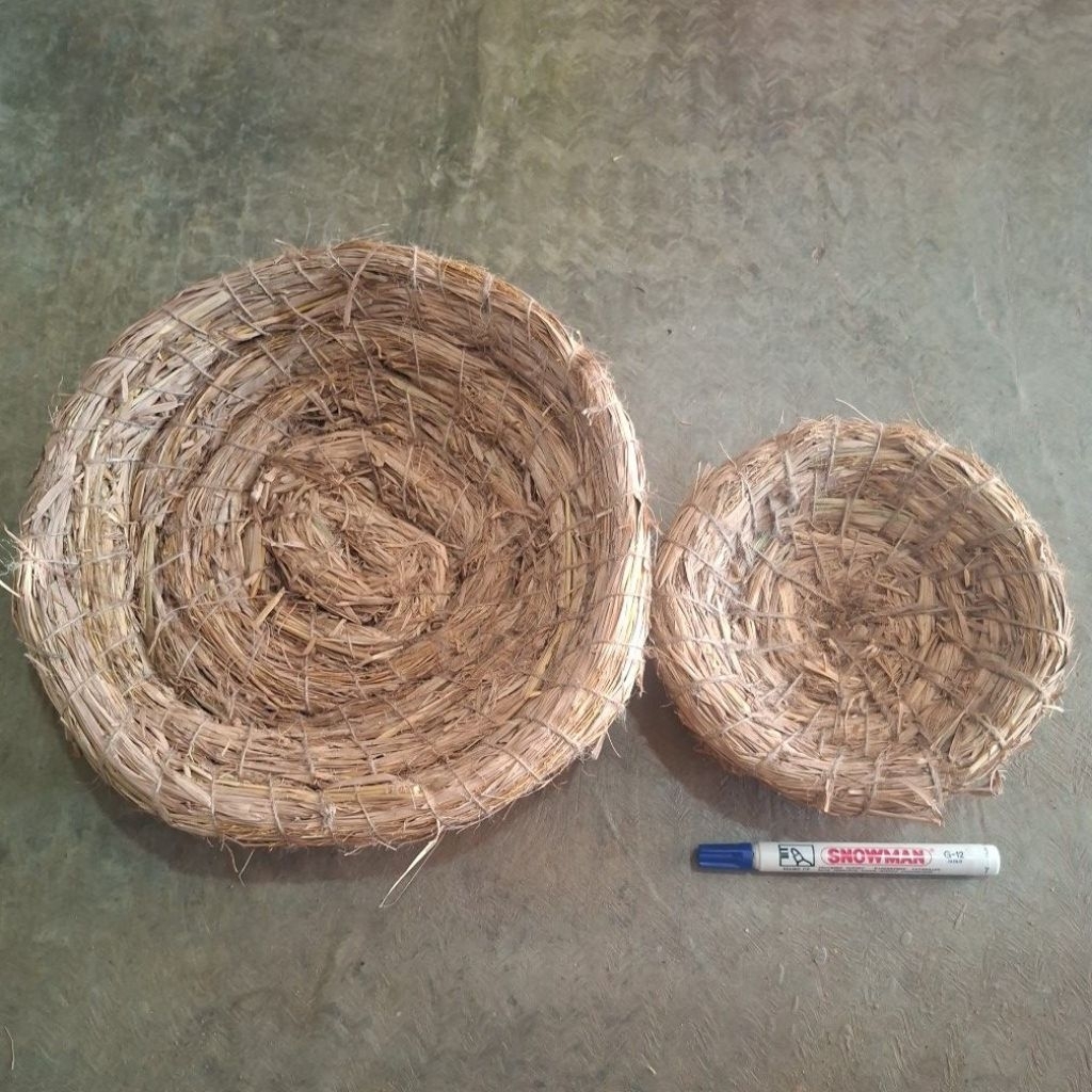 JERAMI TEMPAT BERTELUR AYAM BURUNG