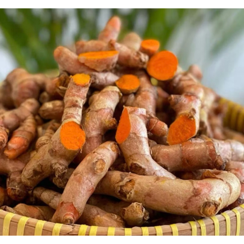 

Kunyit segar OBAT HERBAL banyak manfaat untuk kesehatan