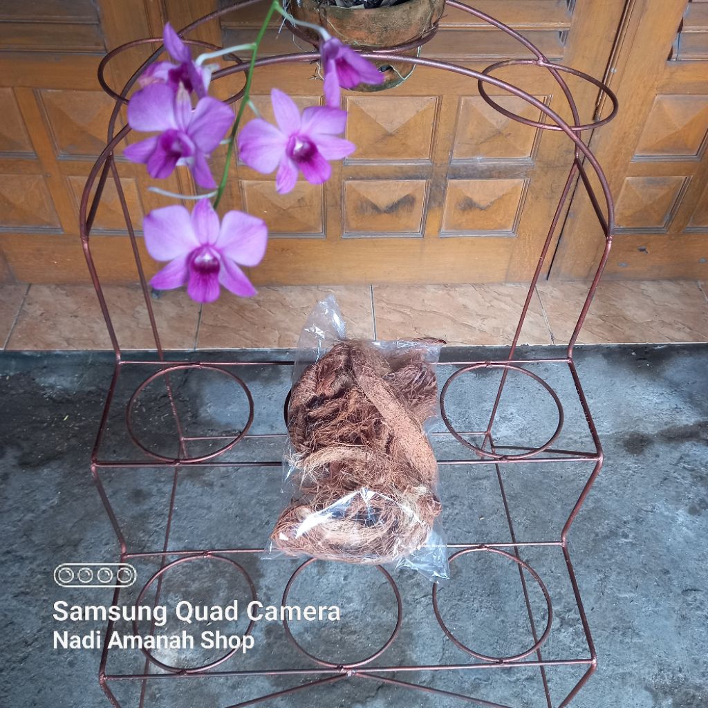 Sabut Kelapa Media Tanam Anggrek