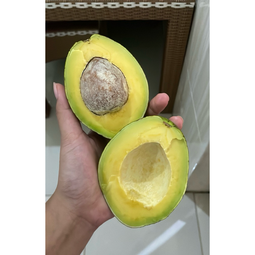 

Alpukat Mentega Blitar / Grade B / Alpukat Kelud / Alpukat Blitar