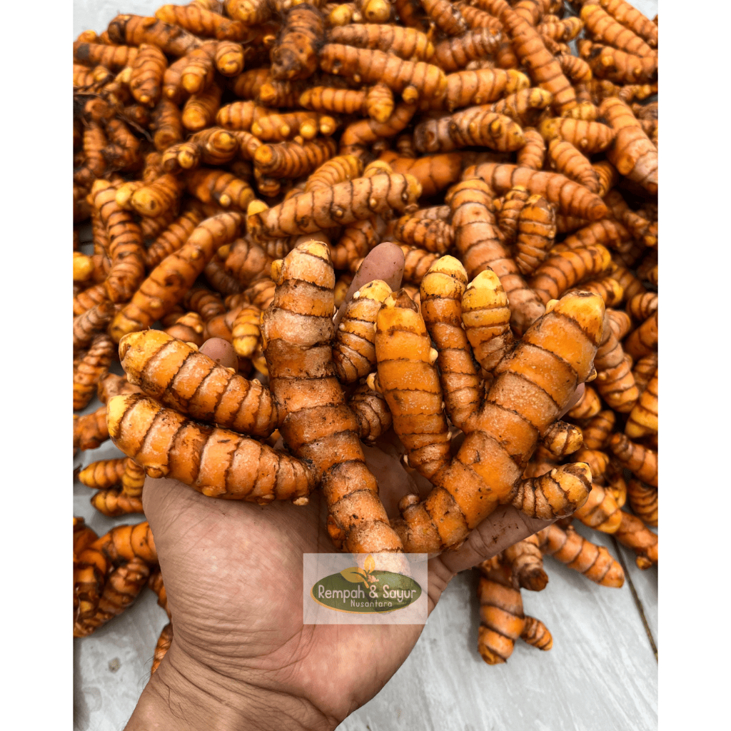 

Kunyit Super Fresh 1 kg Sudah Bersih Dicuci | Kunir Segar Bumbu Dapur