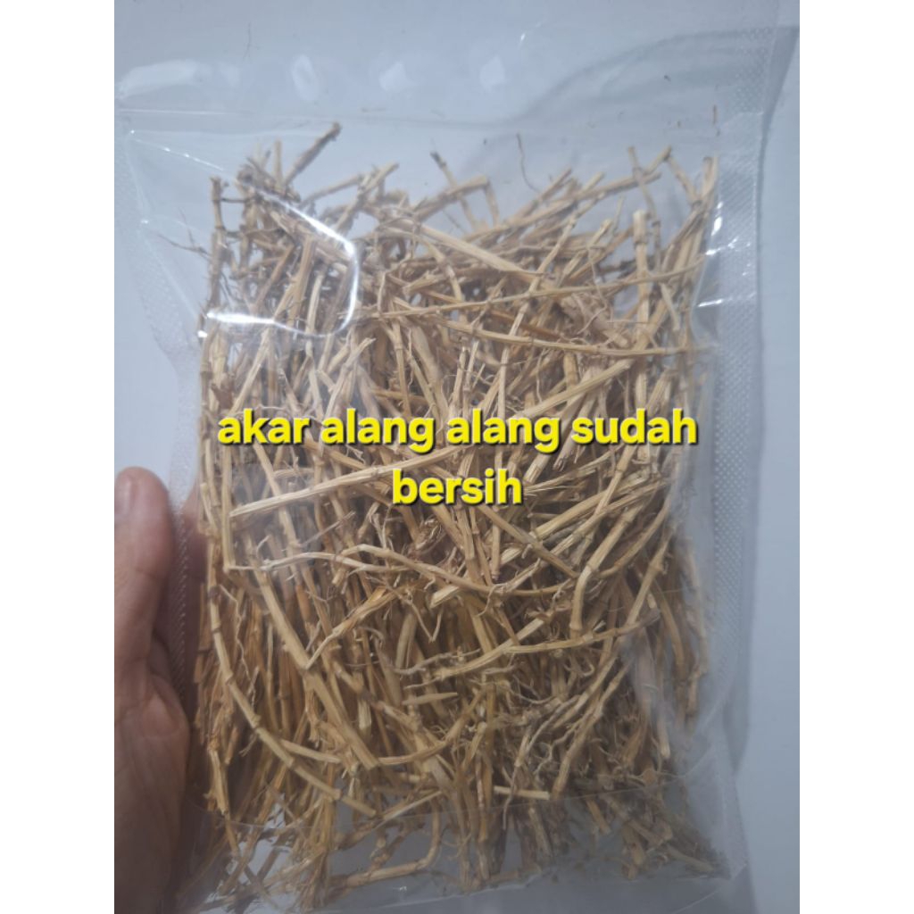 

AKAR ALANG ALANG KERING ALAMI