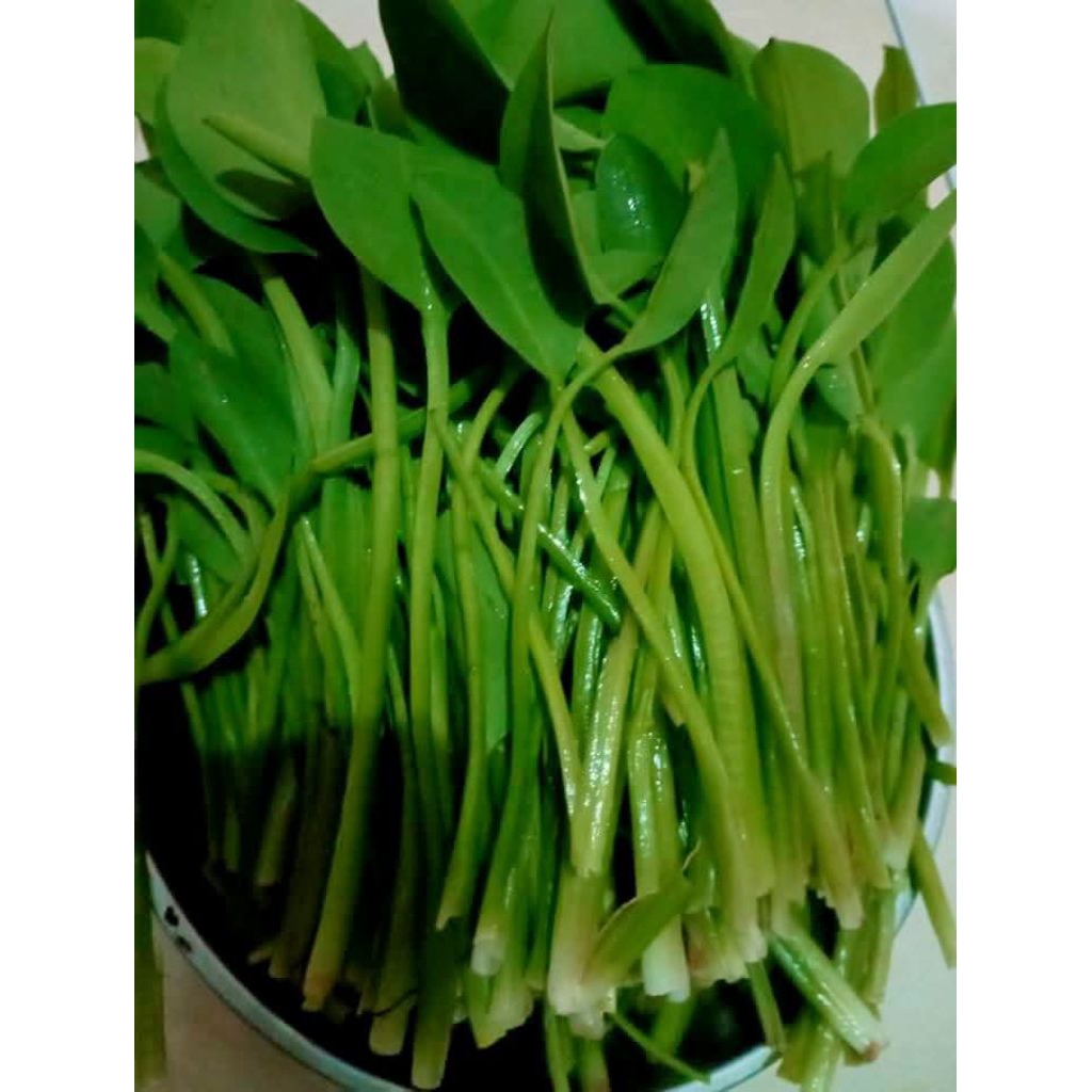 

sayur gendot/genjer / 500 gram