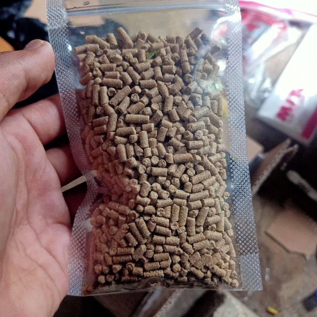 pakan ikan udang lobster hias  kepting