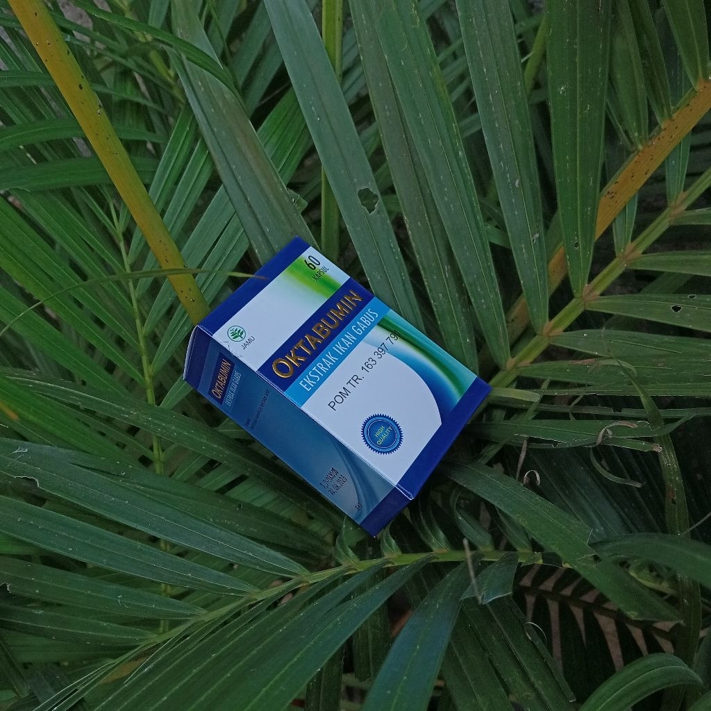 Oktabumin Kapsul Kutuk Premium Kapsul Albumin DIY