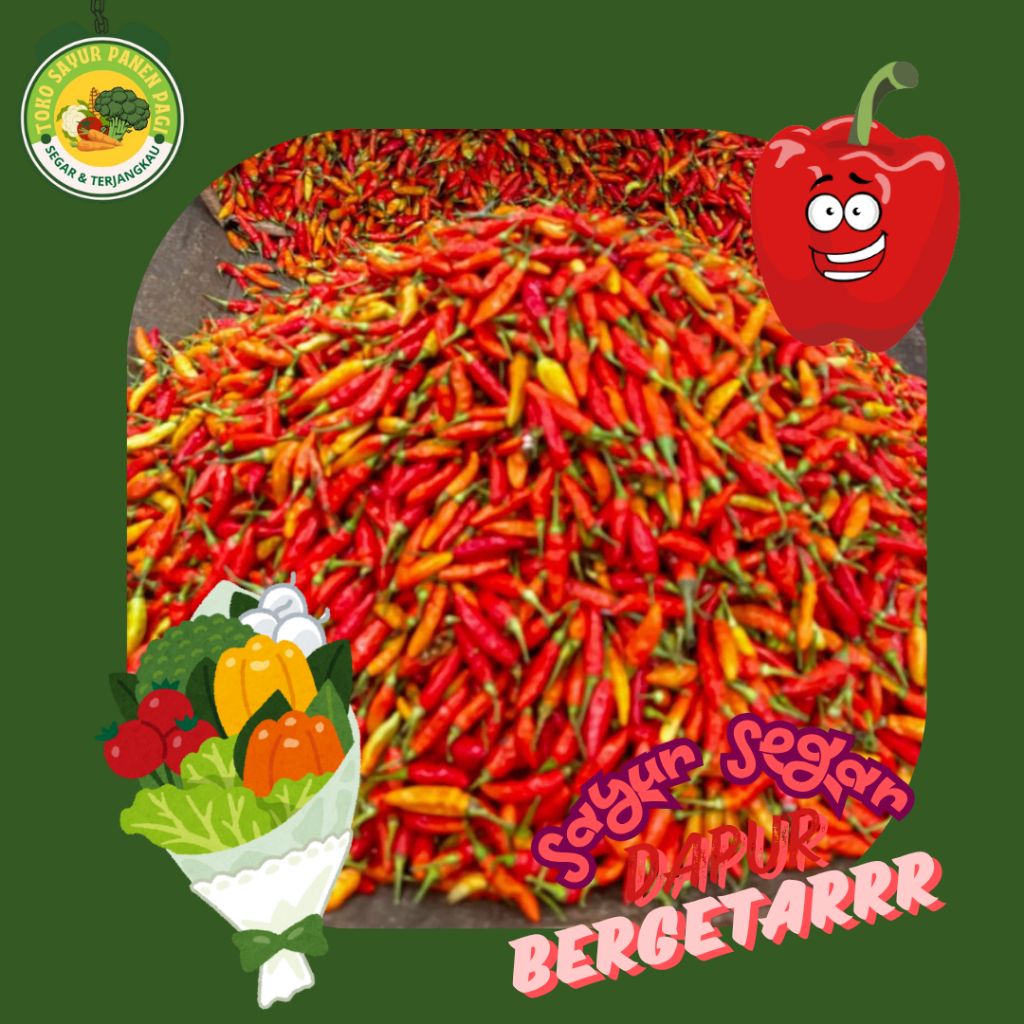 

Cabai Rawit Merah [ Cabai Segar - Super Pedas ]