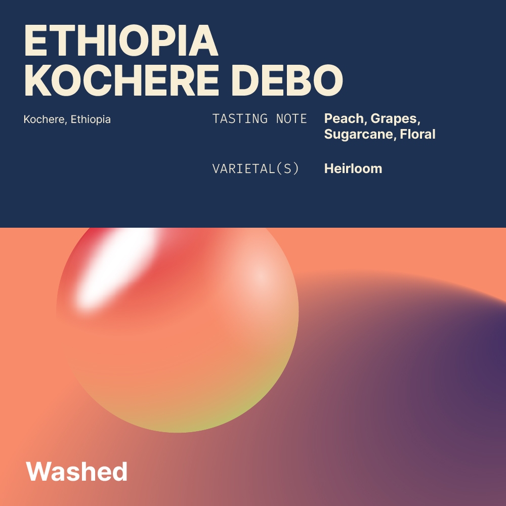 

Ethiopia Kochere Debo - Washed