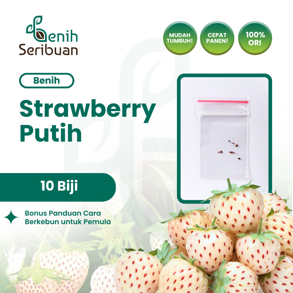 Benih Seribuan - 10 Benih Buah Strawberry Putih