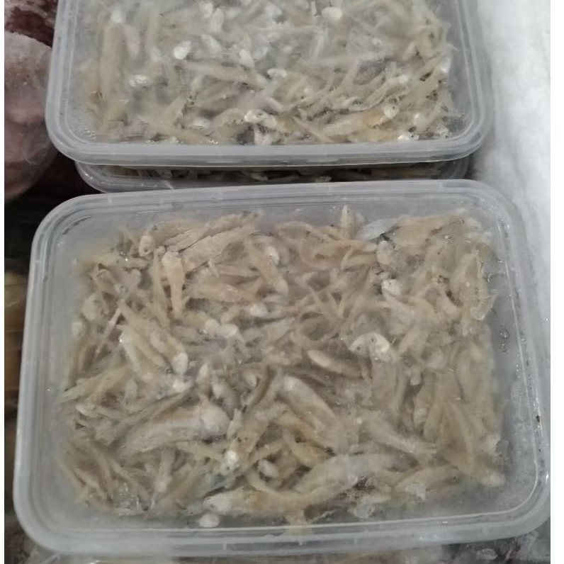 

Frozen Teri Nasi Kering MURAH