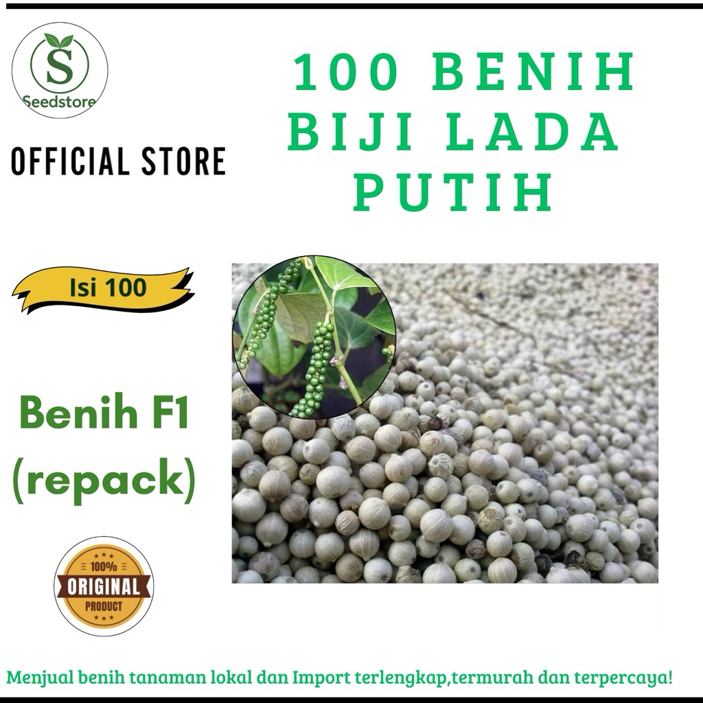 100 benih biji lada putih, Benih Bibit Untuk Di Tanam