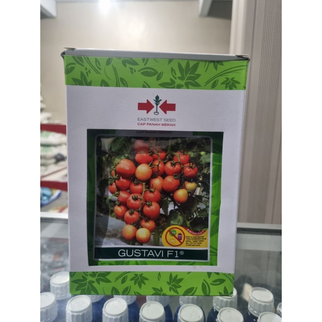 Benih tomat F1 GUSTAVI