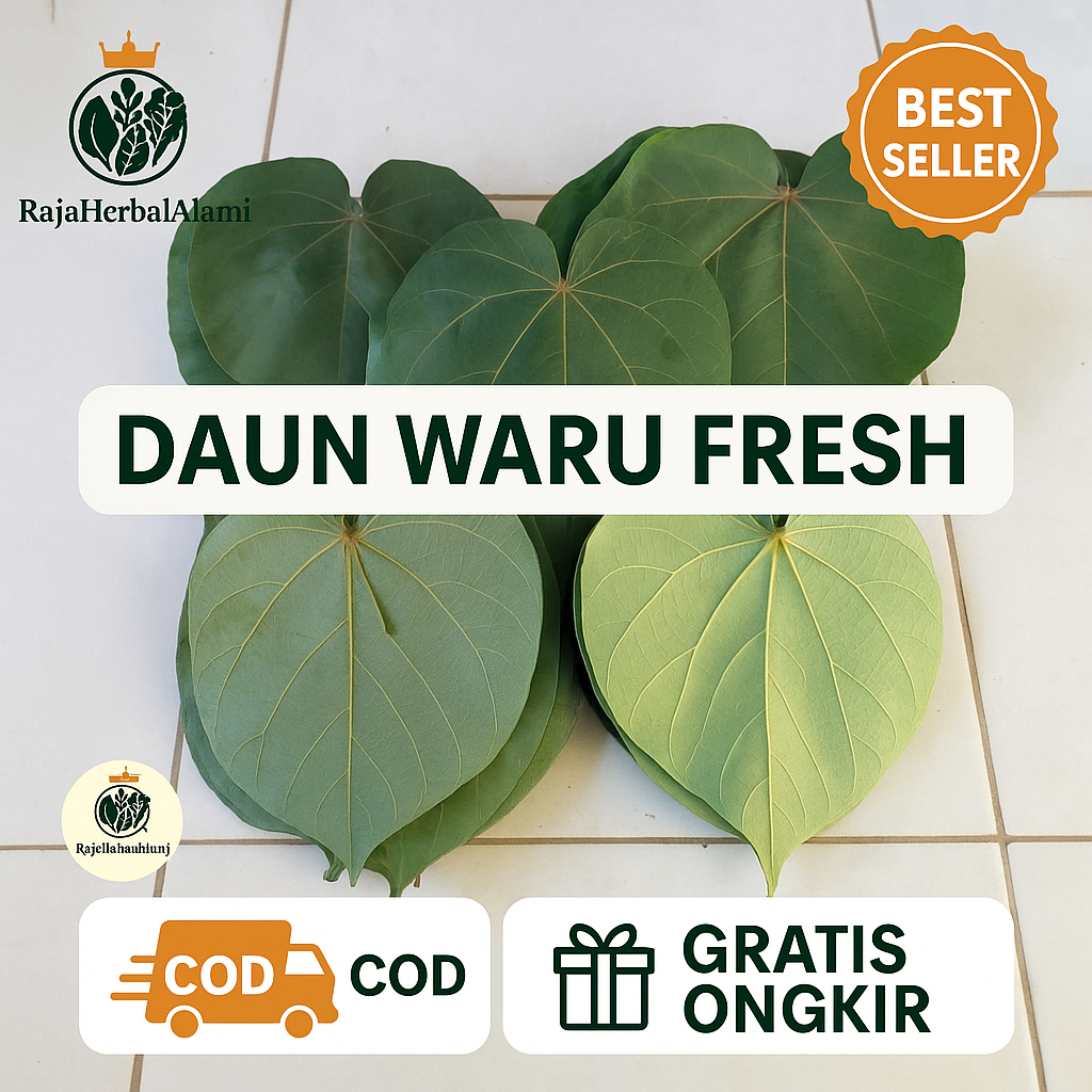 

Daun Waru Segar Per Lembar – Herbal Alami untuk Luka, Rambut Rontok, Batuk & Radang