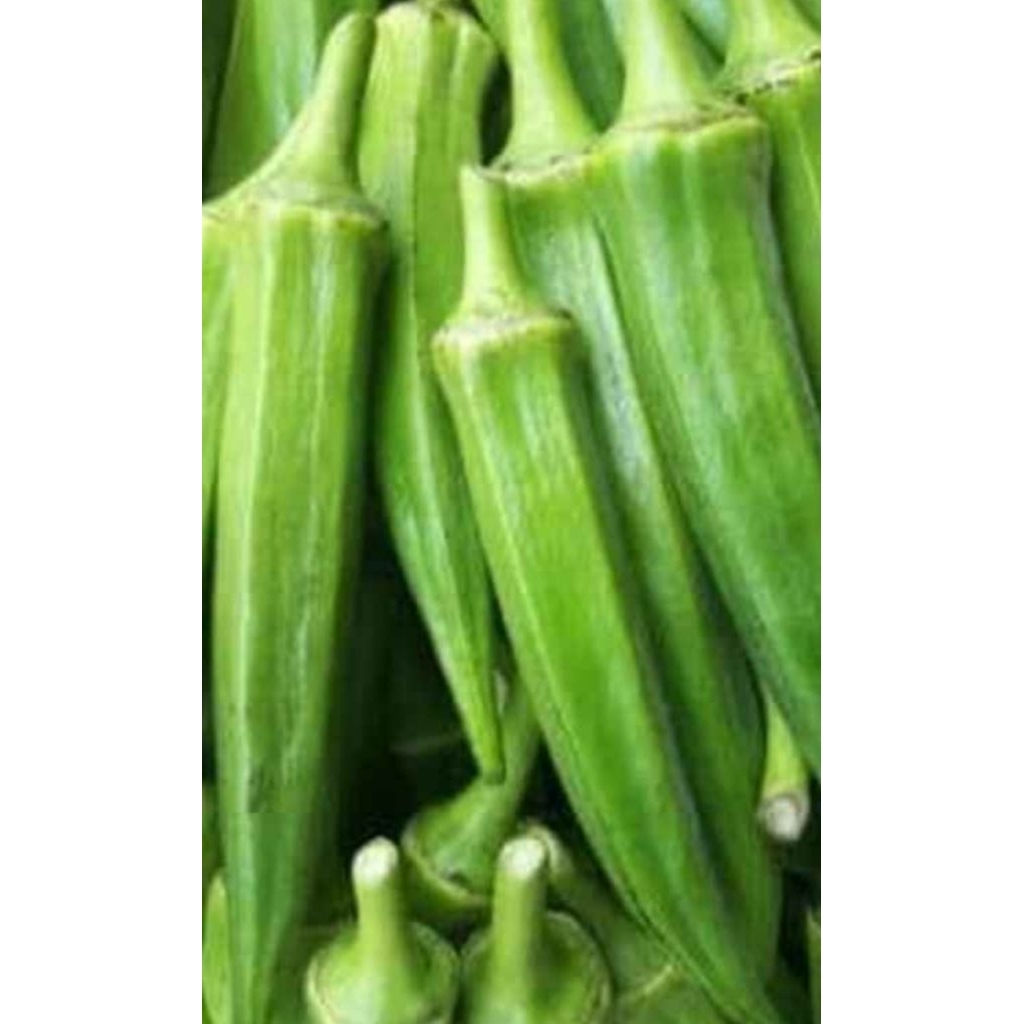 

okra segar 500gr