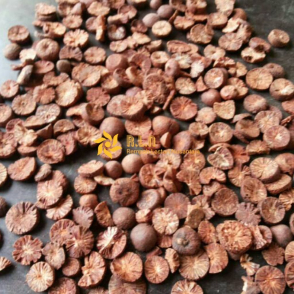 

Buah pinang kering | buah pinang kering 500 gram | buah pinang kaya manfaat