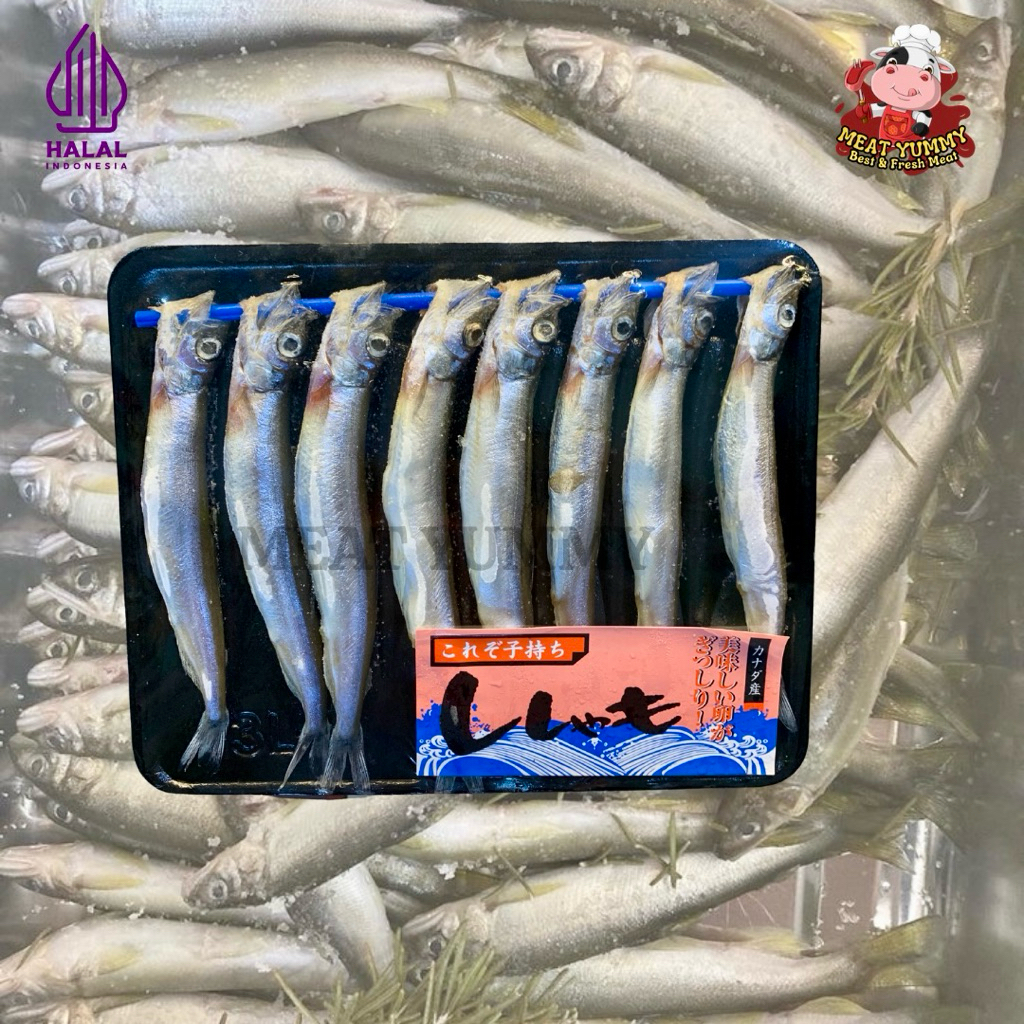 

Ikan Shisamo Capelin Fish