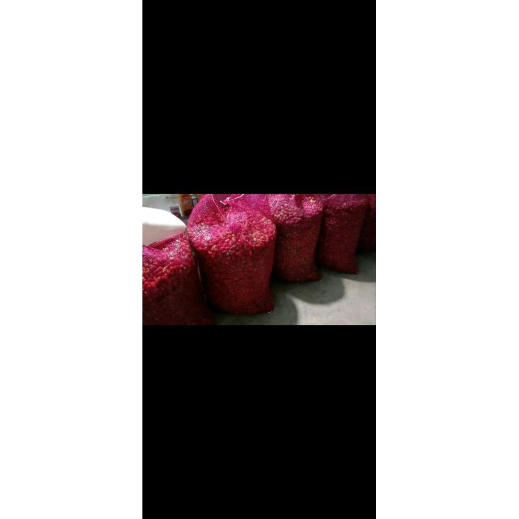 

melinjo (kulit)tangkil