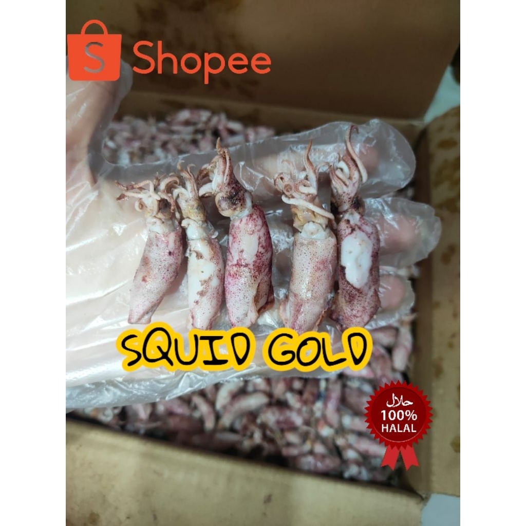 

grosir cumi asin/rebus/sotong/ sedang 250