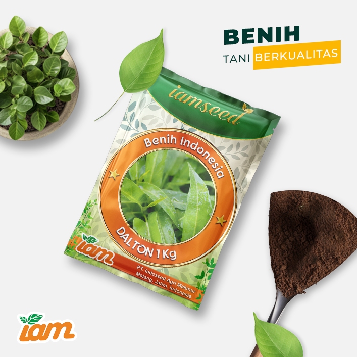 

Dalton 1Kg | Kangkung daun lebar