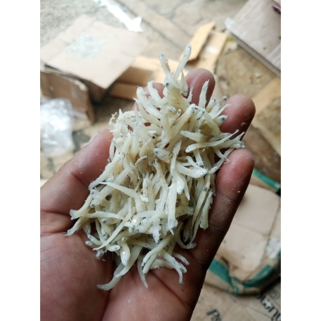 

Ikan Teri Cemet / Teri Nasi Putih CMNS Super Kemasan 500 Gram