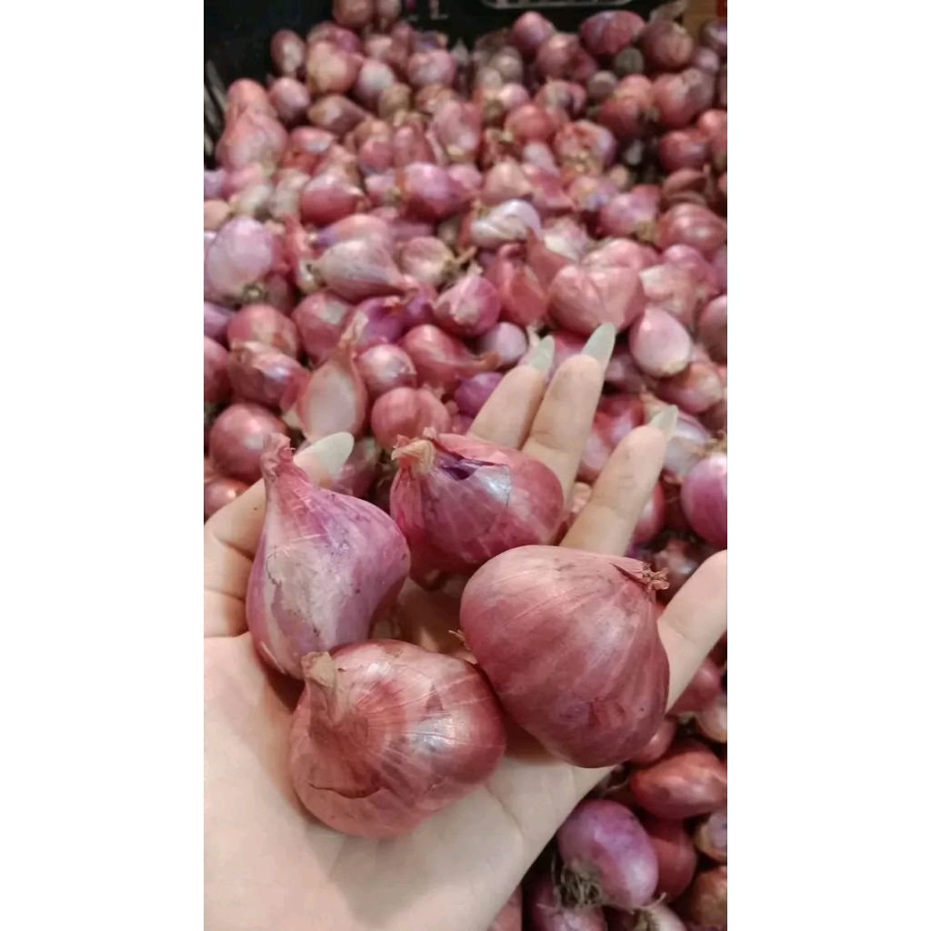 

bumbu dapur bawang merah fresh