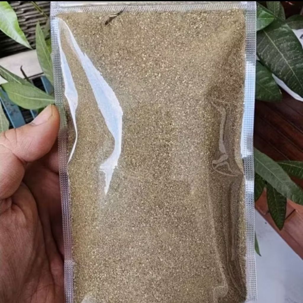 

daun meniran bubuk murni 500gr/daun meniran kering