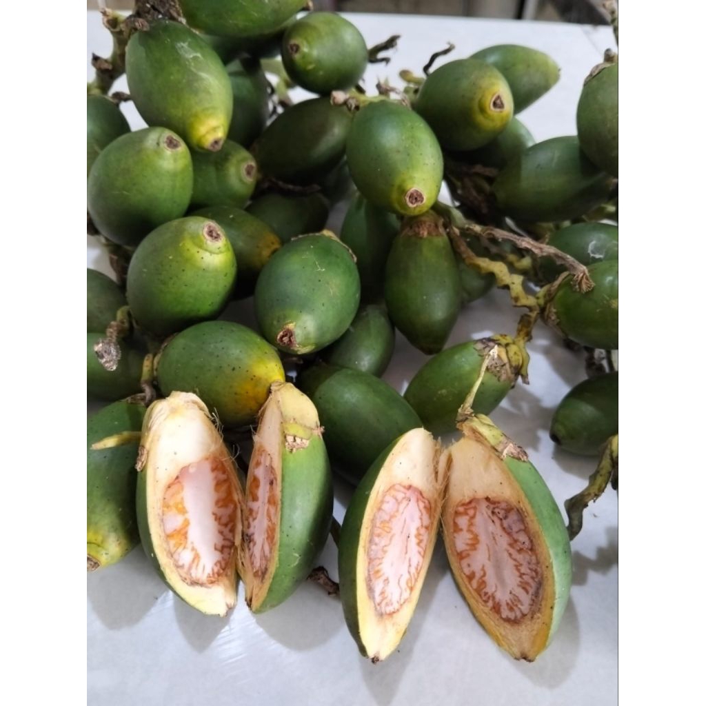 

Buah Pinang Muda / Buah Jambe Muda