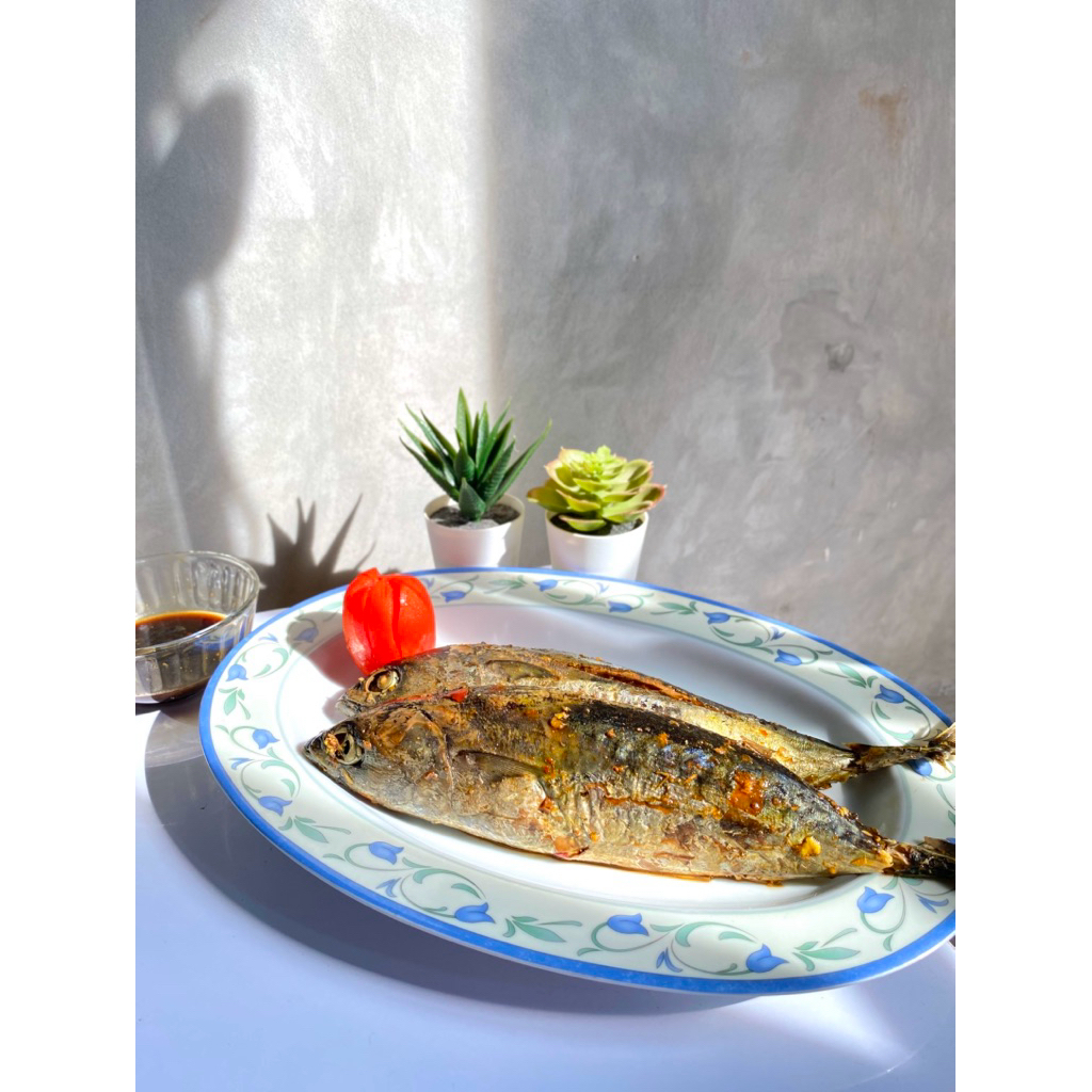 

pindang ikan tongkol isi 2/frozen ikan laut siap makan