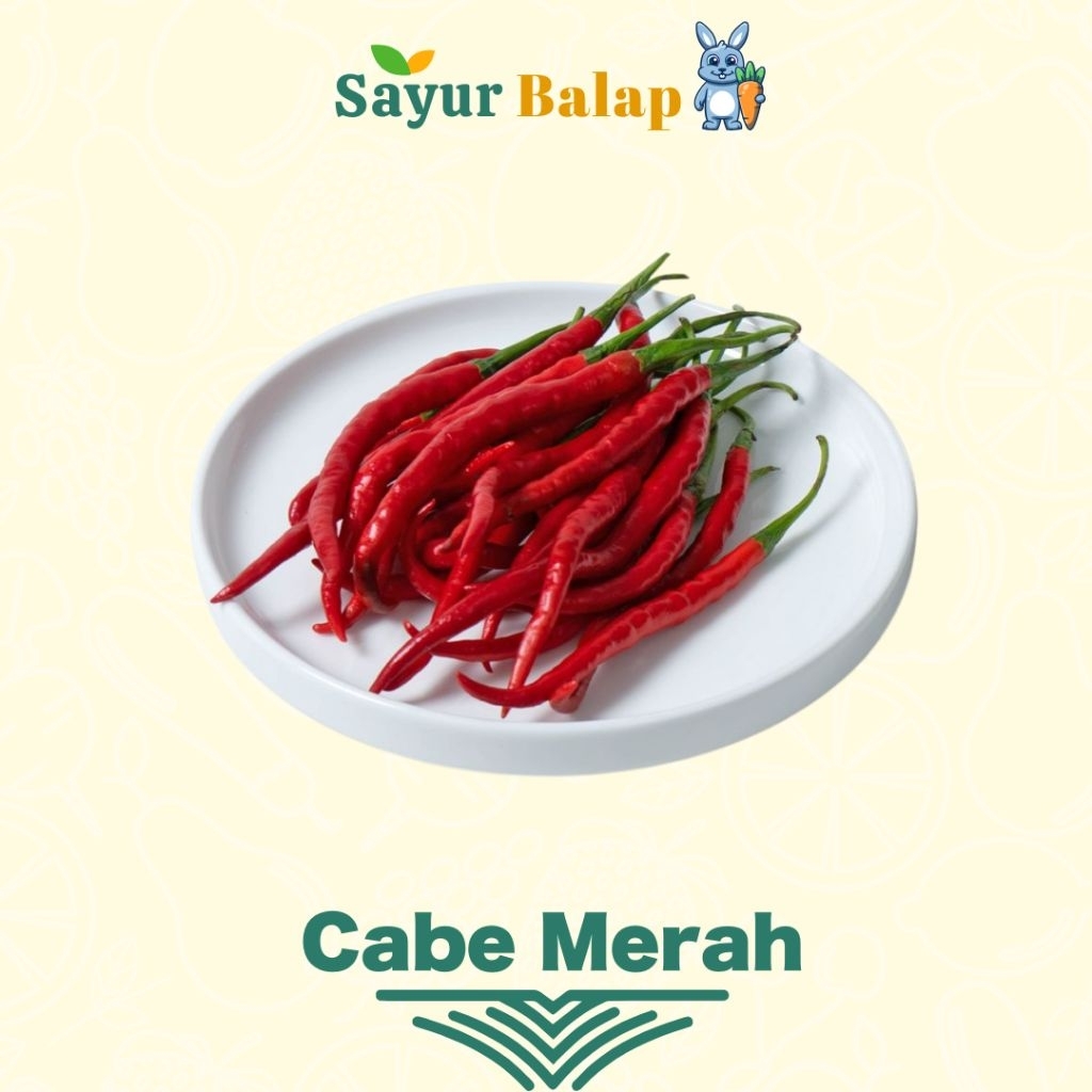 

Cabe Merah Keriting - 100 Gram - Sayur Balap Lampung