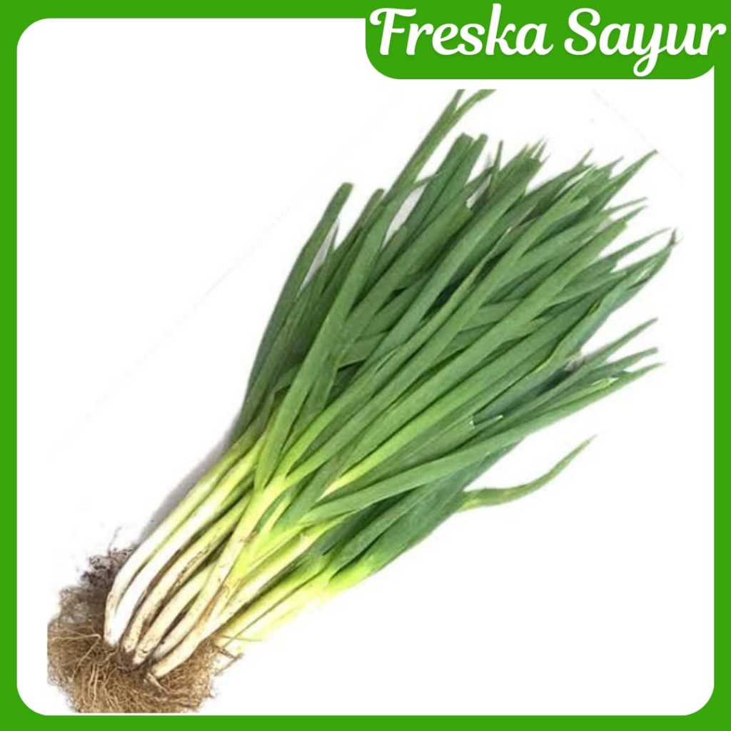 

SERBA 5.000 I Daun Bawang I Daun Bawang Aroma Sedap Pelengkap Masakan