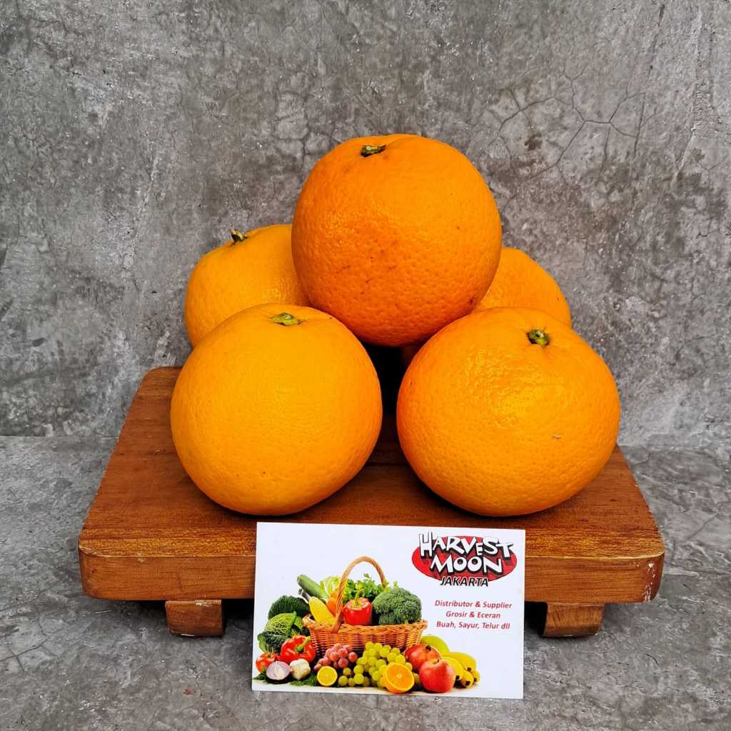 

HarvestMoon Jeruk Navel Import Per Dus