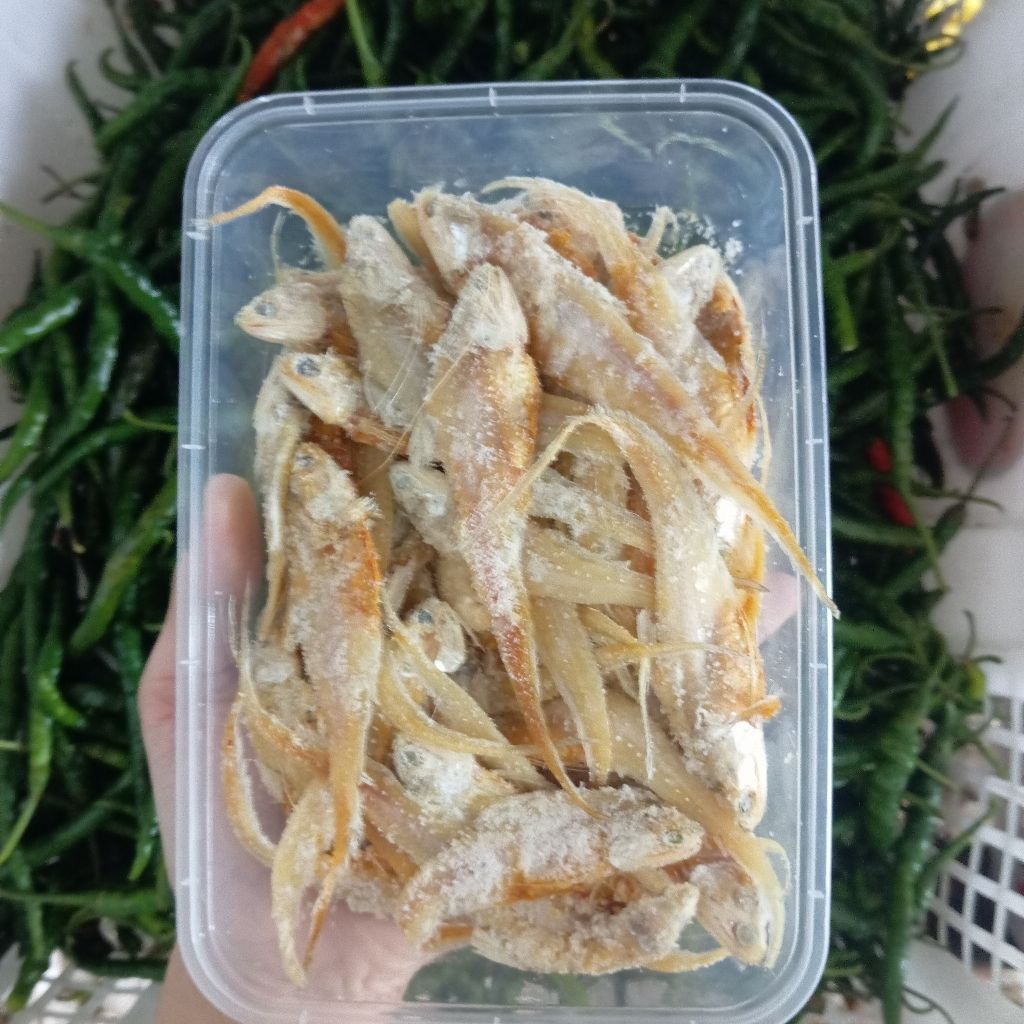 

ikan asin bulu ayam 170g