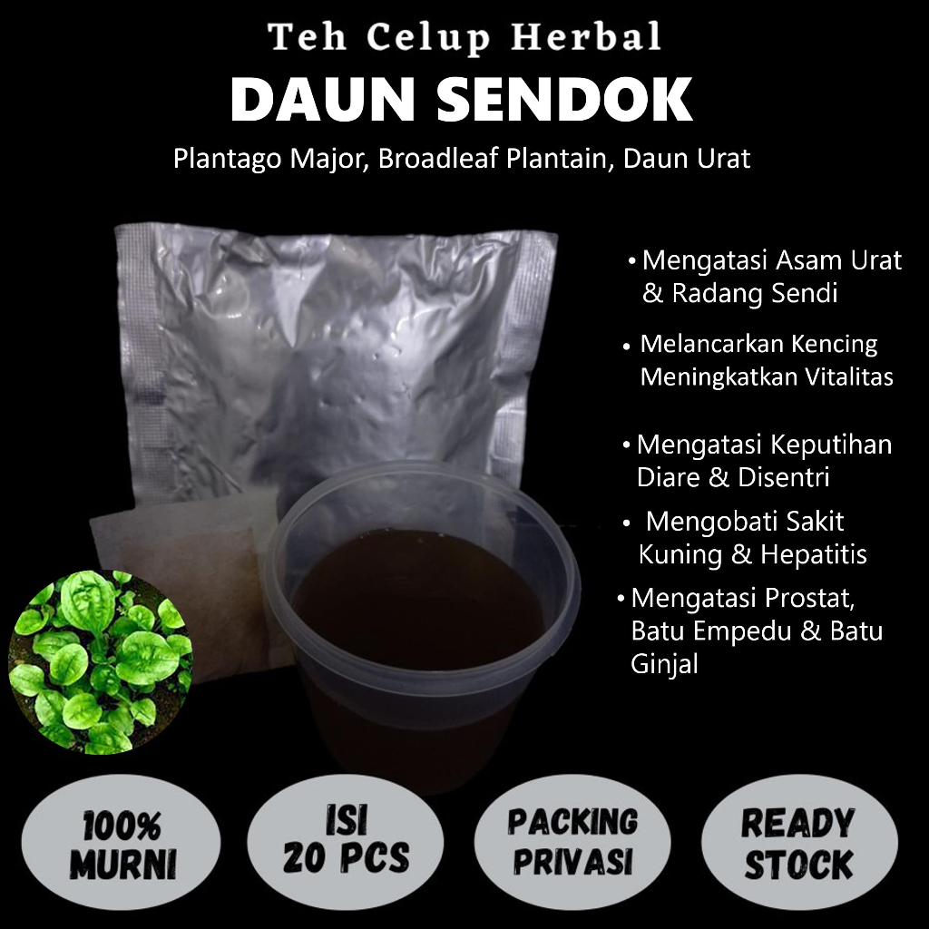 

Teh Celup Herbal DAUN SENDOK Mengatasi Asam Urat Radang Sendi Diabetes Prostat Batu Empedu Batu Ginjal
