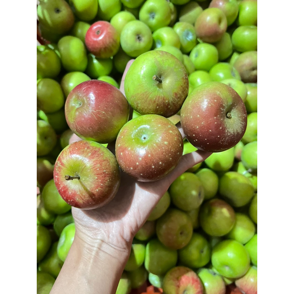 

Apel Rome Beauty Ukuran Sedang 1kg Isi 16-20 buah, Rasa Asam Manis
