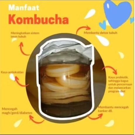 Scoby Kombucha