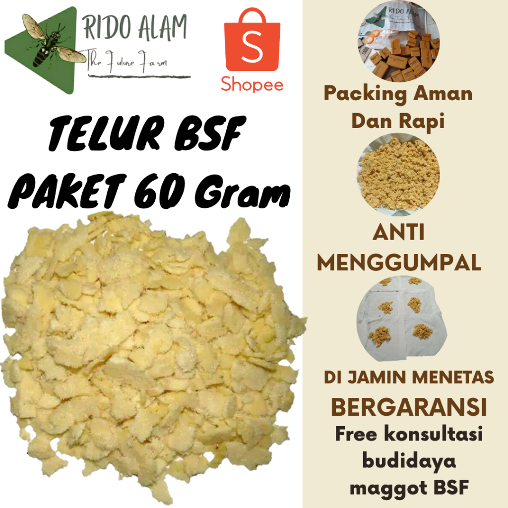 Telur maggot bsf Paket 60gram| Telur Lalat bsf Super |Telur bsf fresh baru di panen | telur maggot