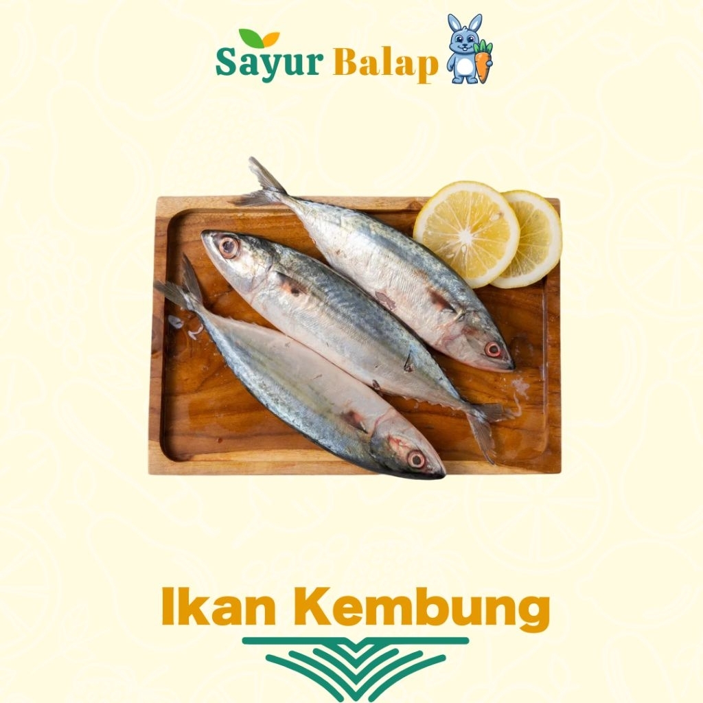 

Ikan Kembung - Fress - 500Gram - Sayur Balap Lampung