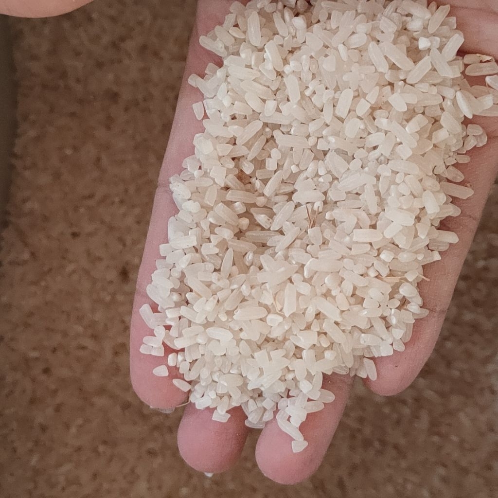 

[READY STOCK] BERAS LOKAL 3KG (HASIL PANEN)