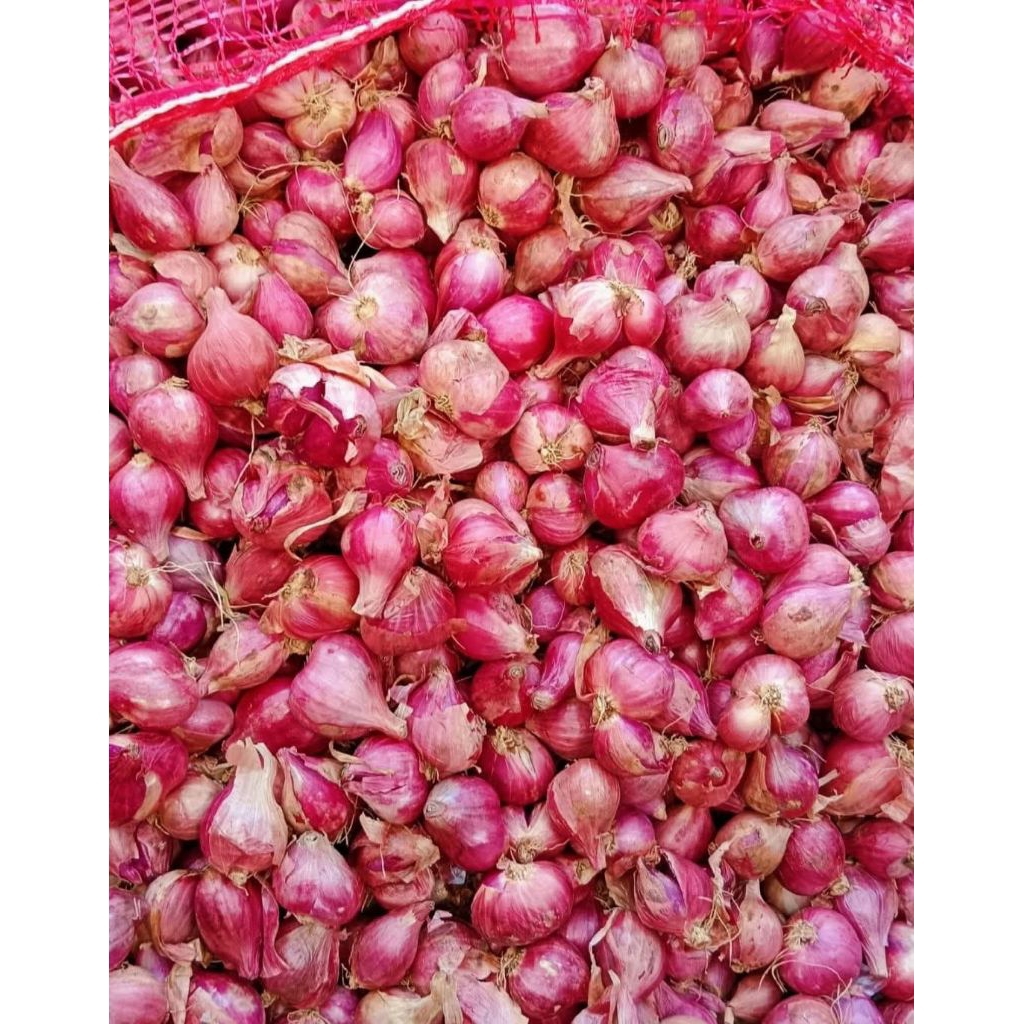 

Bawang merah besar kering