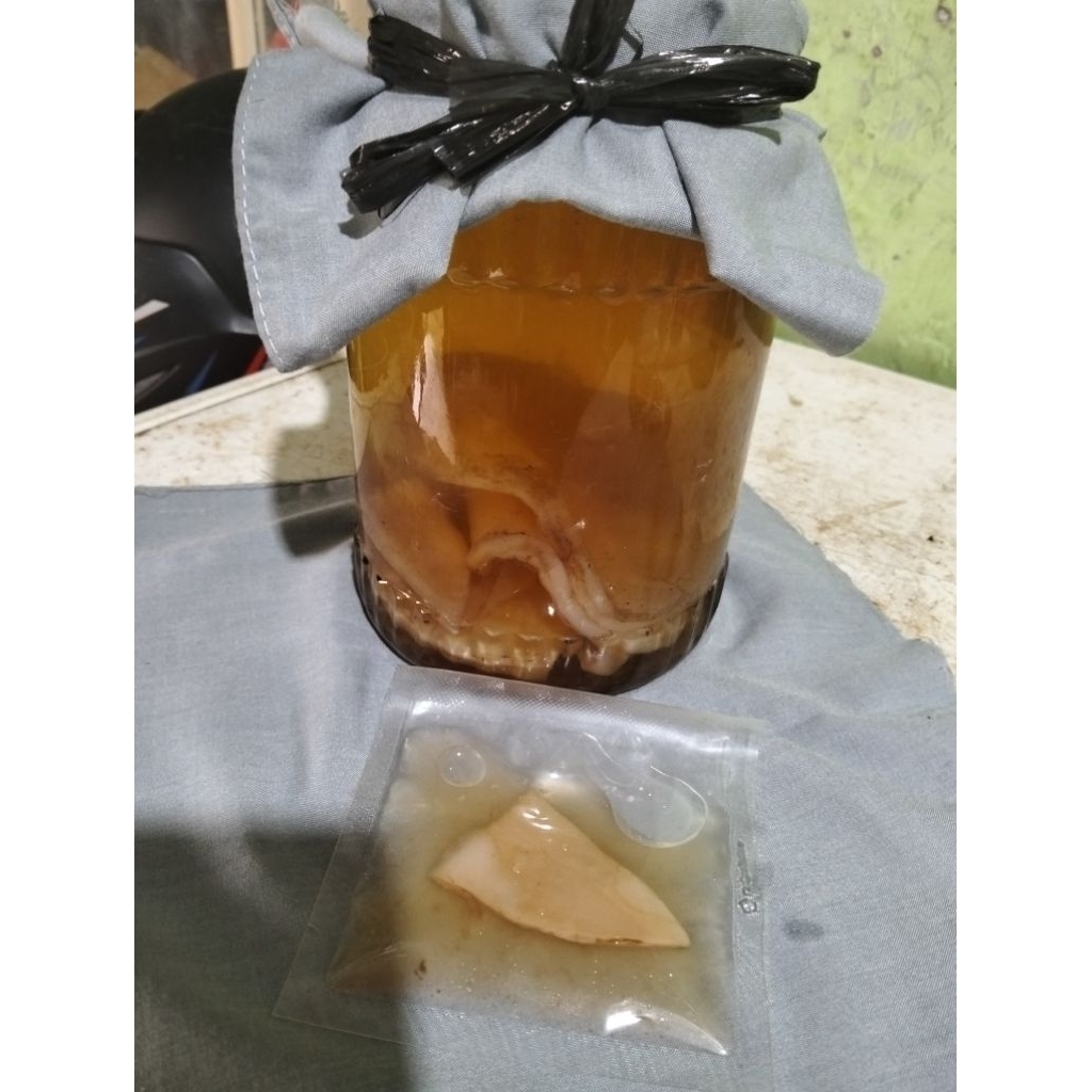 

bibit scoby kombucha 8-10gr, dikirim dengan air scobynya juga