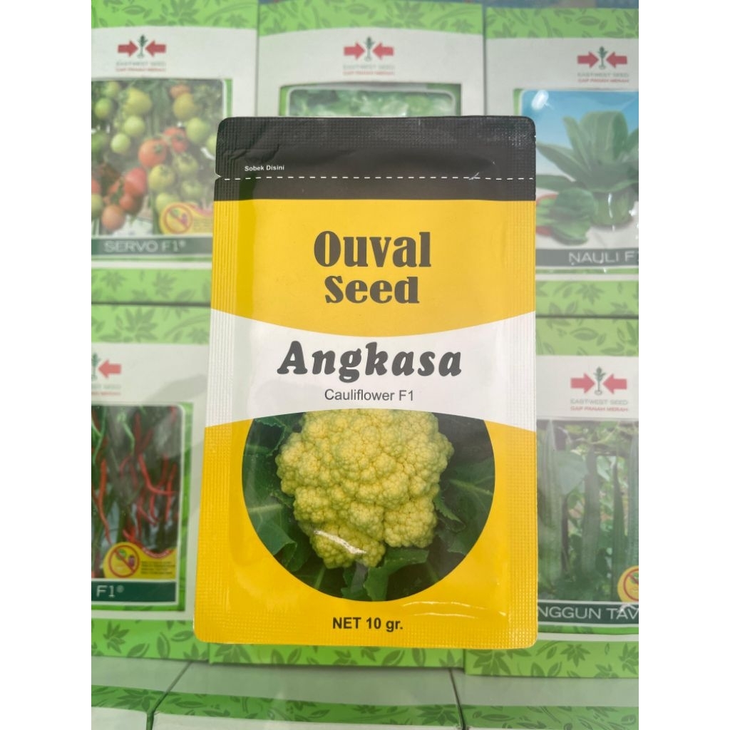 Bibit kol bunga angkasa 10 gram ouval seed