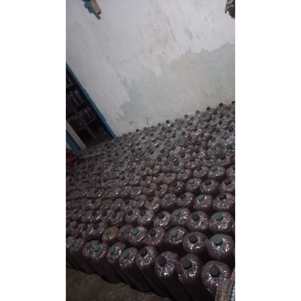 

Baglog Jamur Tiram siap panen