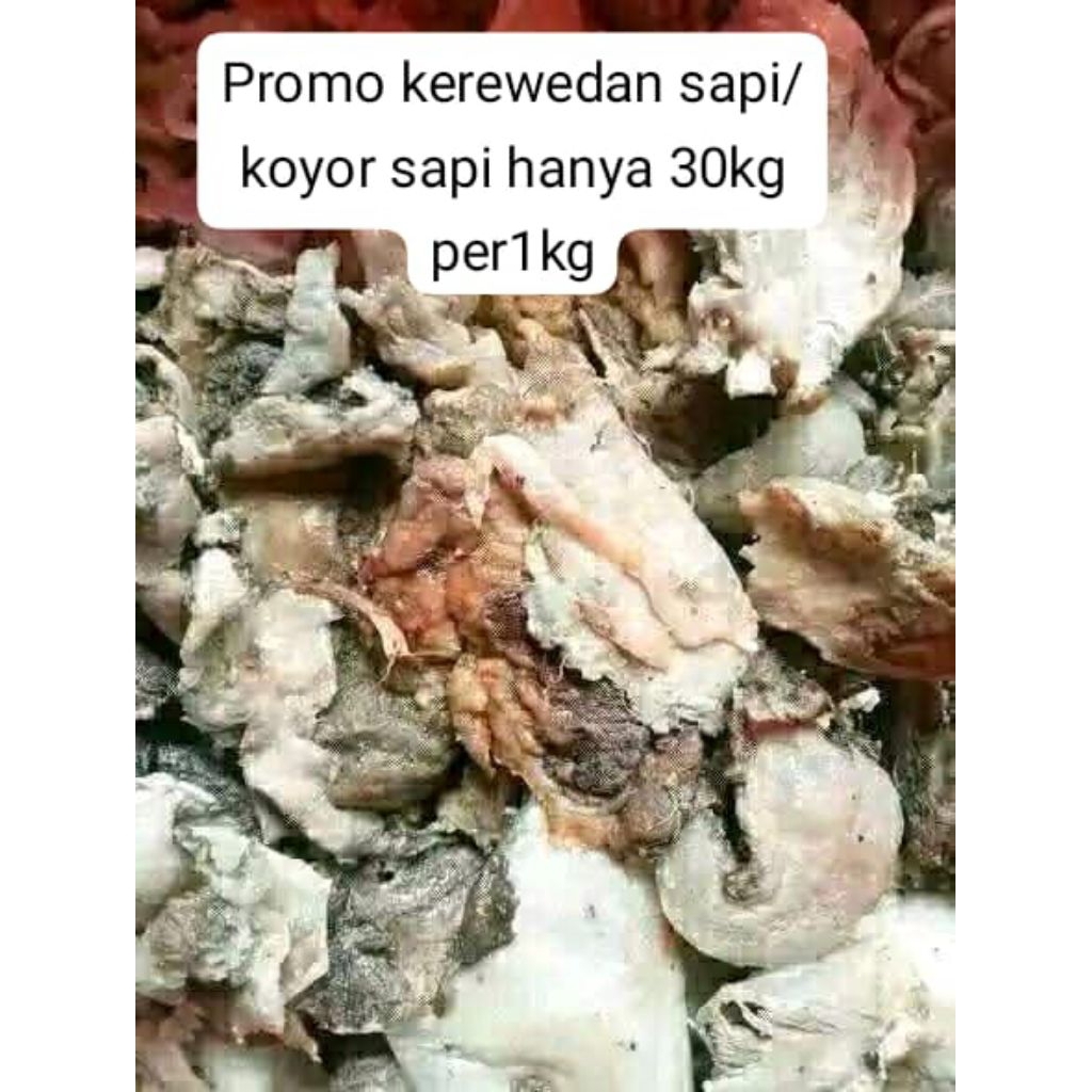 

kerewed sapi /koyor sapi