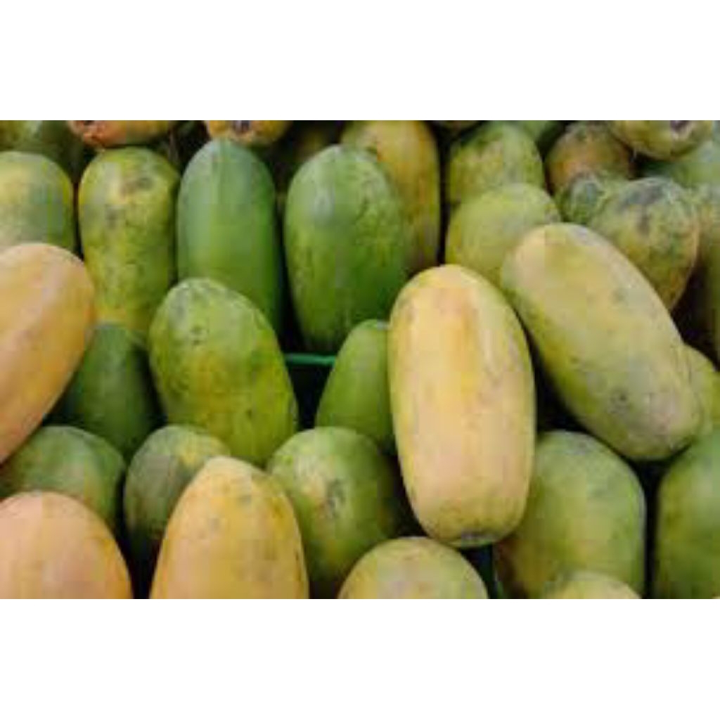 

pepaya California buah segar berkualitas