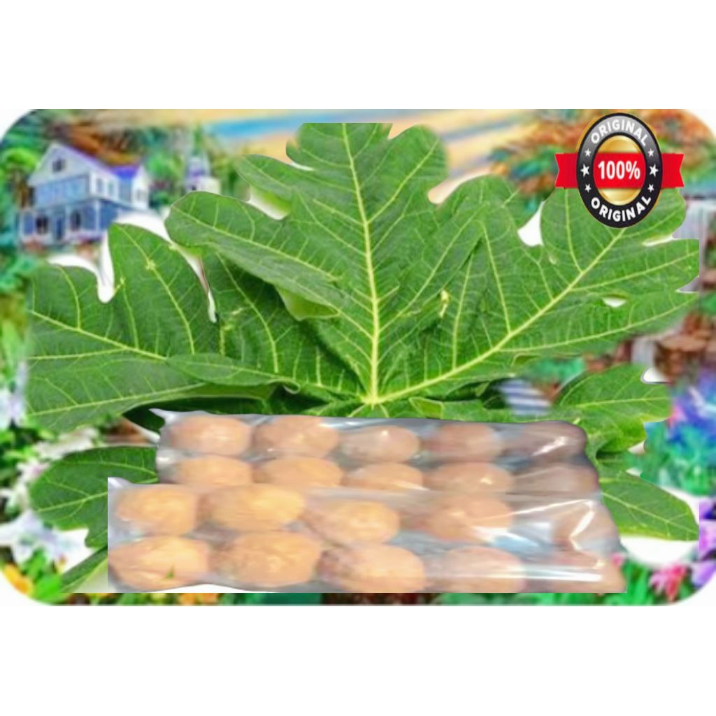 

Ampo Tanah Liat Original Penghilang rasa pahit daun pepaya