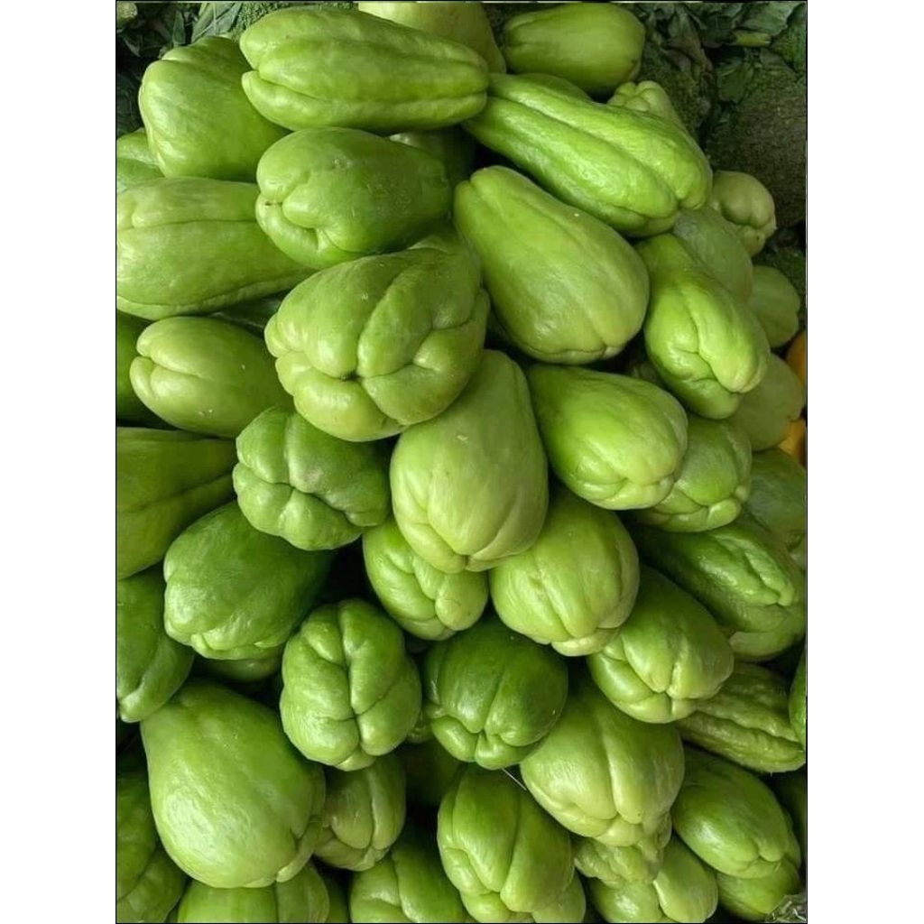 

LABU SIAM JUMBO,PANGAUBAN(PG)FRESH 1-5 KG - sayurrku
