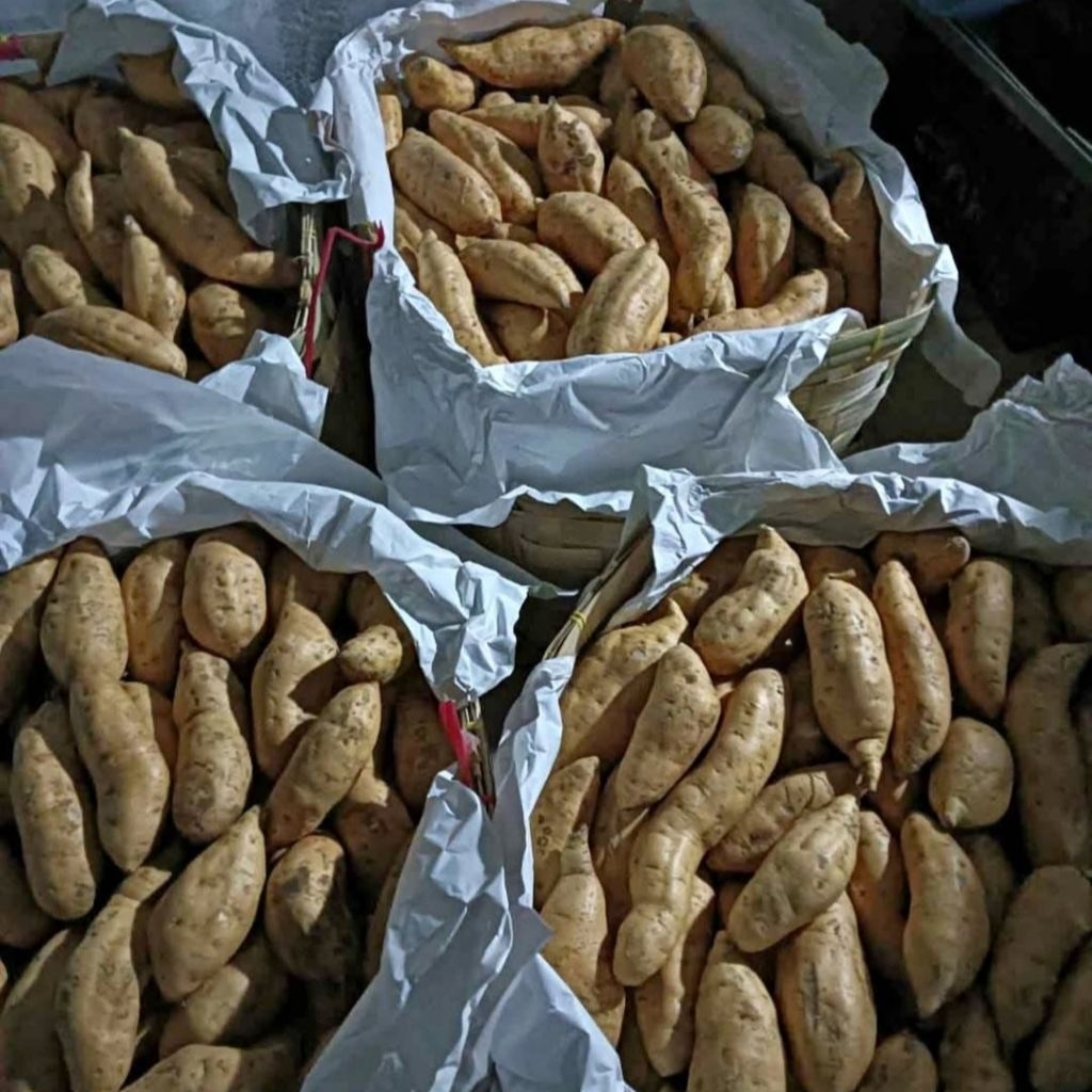 

Termurah No.1 Ubi Cilembu/Sweet Potato 1kg