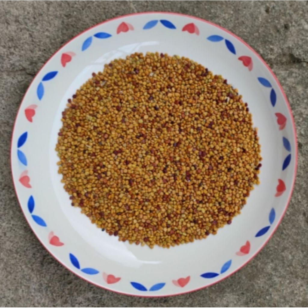 

Colopogonium Muconaides ( CM ) 500 Gr.